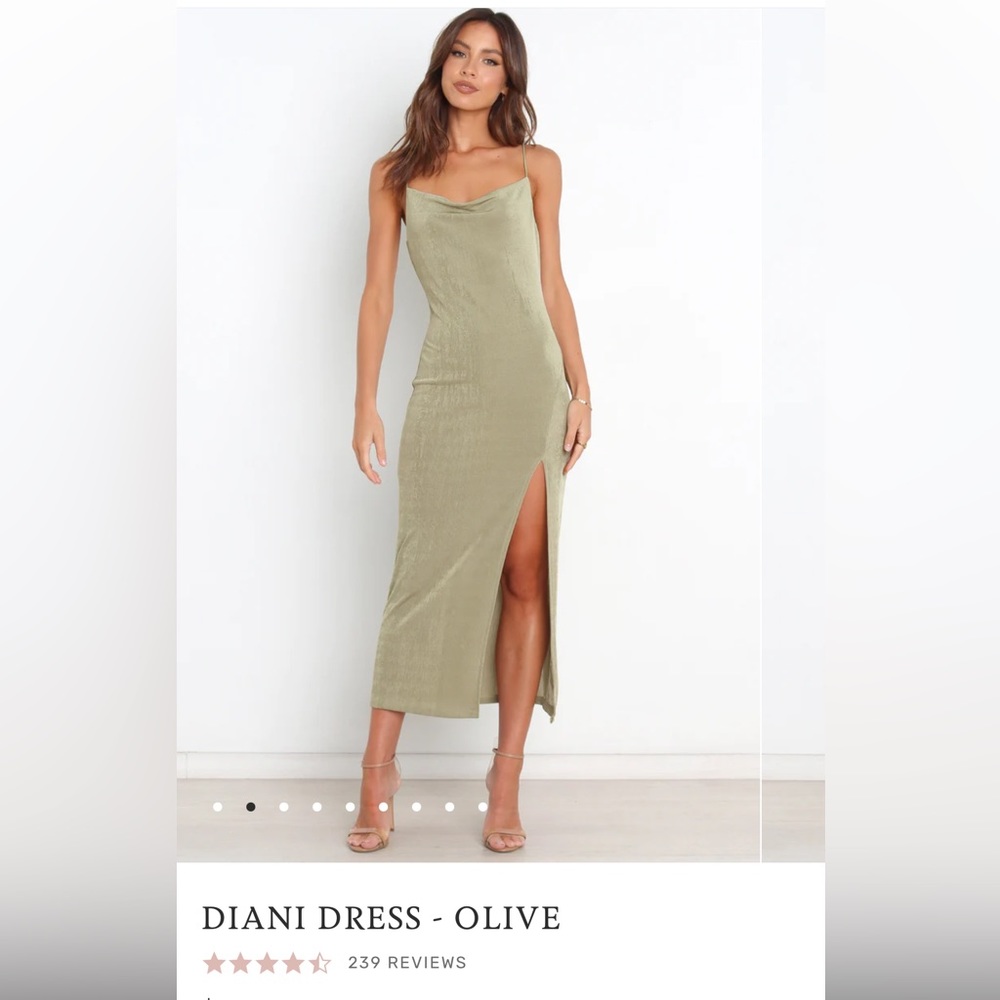 Petal and Pup Midi Dress